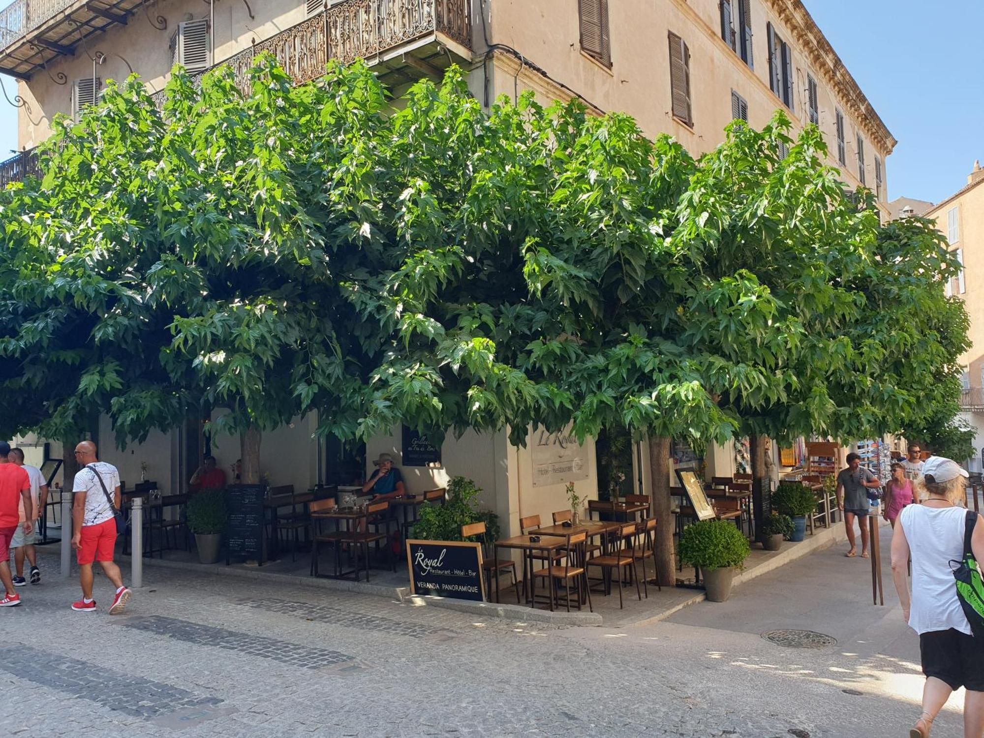 Le Royal Hôtel Restaurant Bonifacio (Corsica) Exterior foto